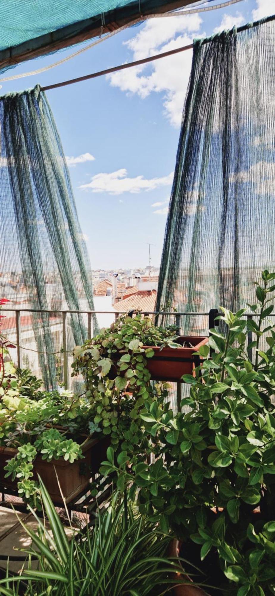 Casa De Huespedes Dolce Vita Madrid Ngoại thất bức ảnh